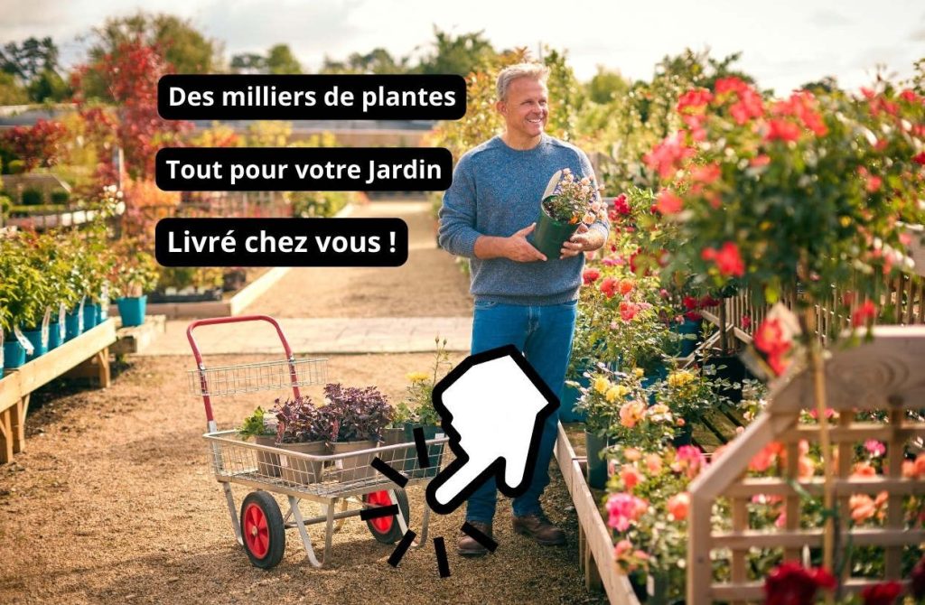 JM Jardinerie en Ligne