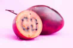 tamarillo fruit tamarillo fruit