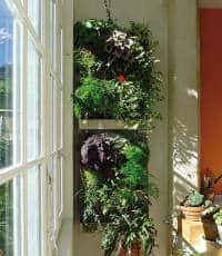 creer-mur-vegetal creer mur vegetal