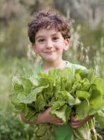cultiver-legumes-enfants boy holding organic lettuce outdoors