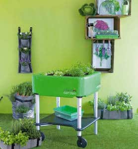jardiner sur table Jardiner sur table