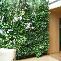 mur-vegetal-terrasse mur vegetal terrasse
