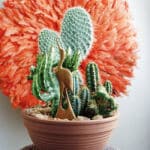 Cactusmix Cactusmix