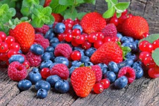 fruitier-terrasse fruitier-terrasse - Les fruitiers pour petit jardin et terrasse