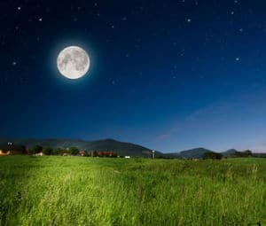 jardiner-avec-la-lune jardiner avec la lune