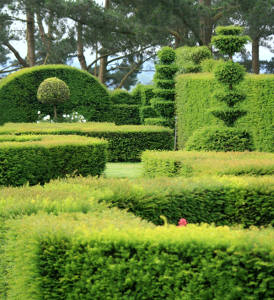 Jardin-buis Jardin-buis - Le buis, toujours chic