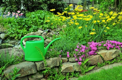 Jardinage en mai