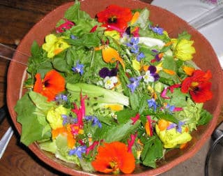 fleurs-comestibles fleurs-comestibles - Cultivez des fleurs pour les manger !