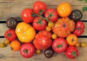 varietes-tomates-faciles variete tomate facile