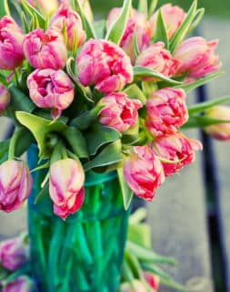 bouquet-de-printemps1 bouquet-de-printemps1 - Bouquets de printemps