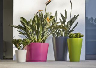 plante-en-pot plante-en-pot - Jardin en pots