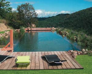 piscine-naturelle piscine naturelle plantes