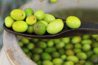 olive-picholine- olive picholine