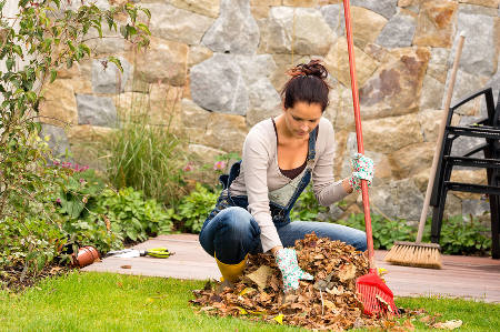 Travaux d’automne au jardin