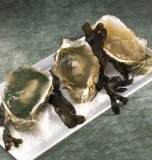 huitre-en-gelee huitre-en-gelee - Huître en gelée aux 3 saveurs