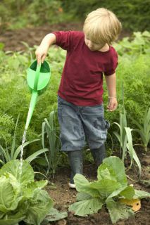 jardinage durable jardinage durable