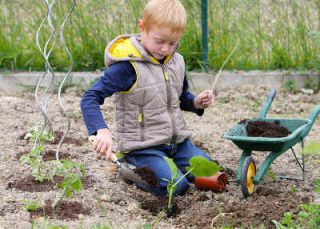 jardinage-enfants-conseil jardinage enfants conseil