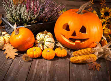 citrouille-Jack-O-Lantern Jack O’Lantern, la lanterne creusée pour Halloween