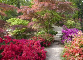 jardin-japonais jardin-japonais - Un jardin d’inspiration japonaise