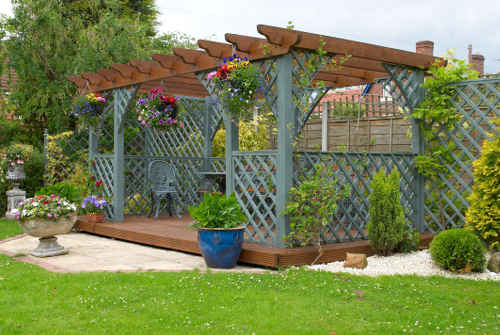 Plantes grimpantes pour pergola