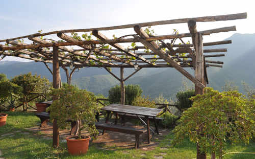 Pergola végétalisée au jardin