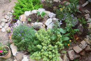 permaculture-biodiversite-autonomie permaculture biodiversite autonomie