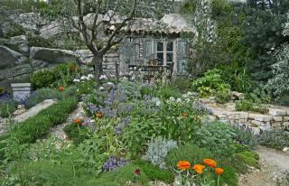 faire-un-jardin-mediterraneeen faire un jardin mediterraneeen