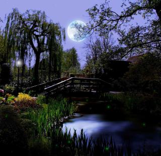jardiner-avec-la-lune-influence-impact-potager jardiner avec la lune influence impact potager