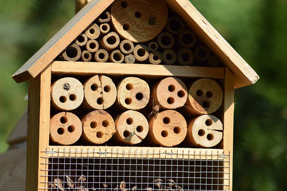 cabane-maison-insecte-attirer-jardin Cabane à insectes pour les attirer au jardin