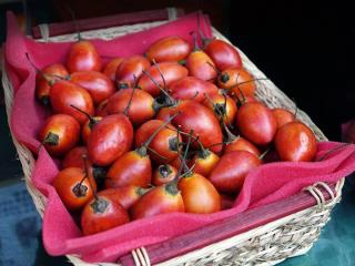 Tamarillo Tamarillo