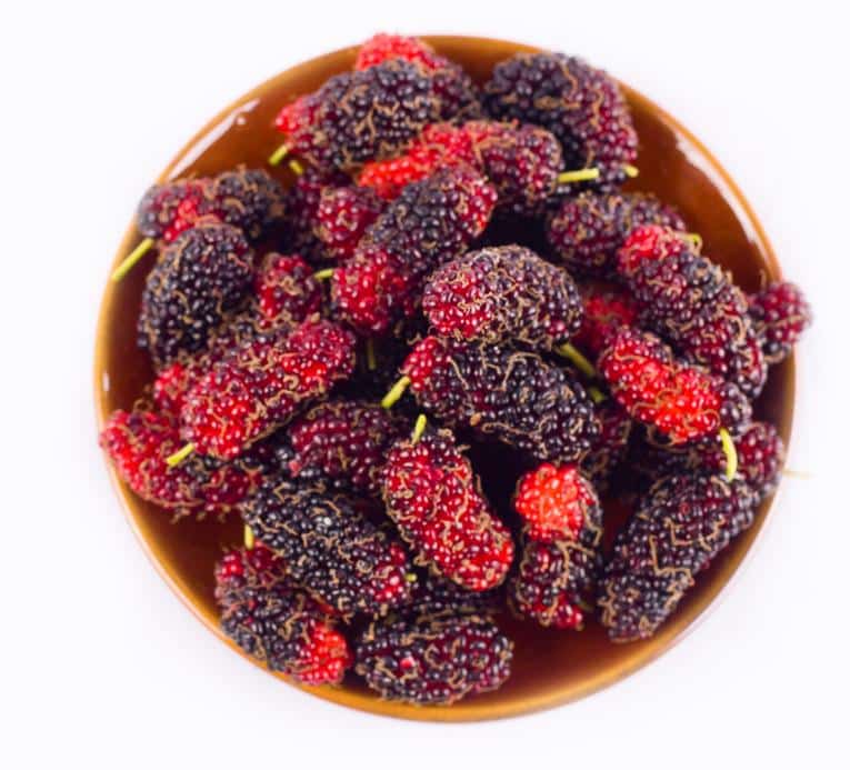 fruit-murier-platane-comestible Fruits comestibles du mûrier platane