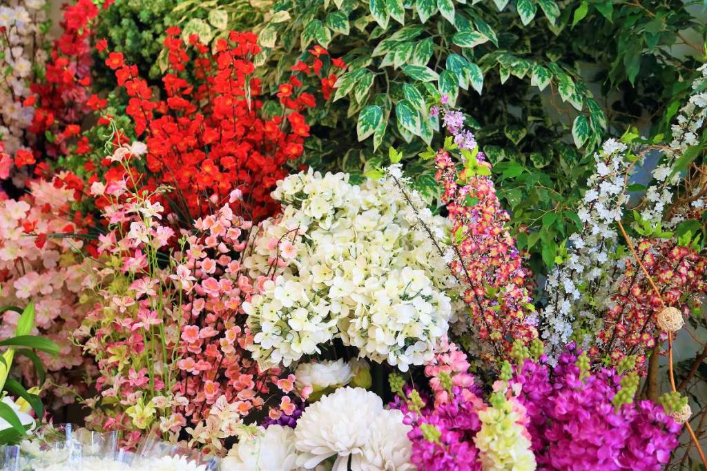 concours reconnaissance plante
