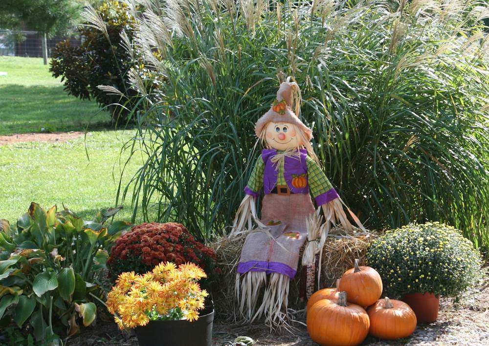 Jardinage-Novembre - Novembre au jardin, tous les conseils