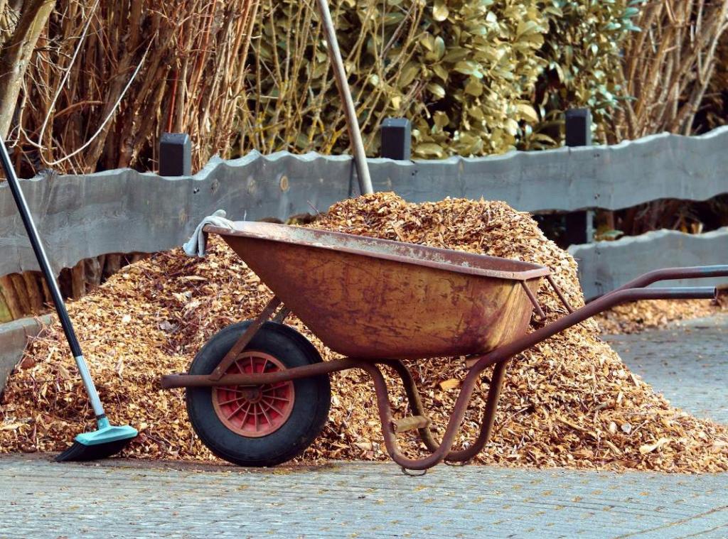 travaux-jardinage-decembre - Décembre au jardin, tous les conseils