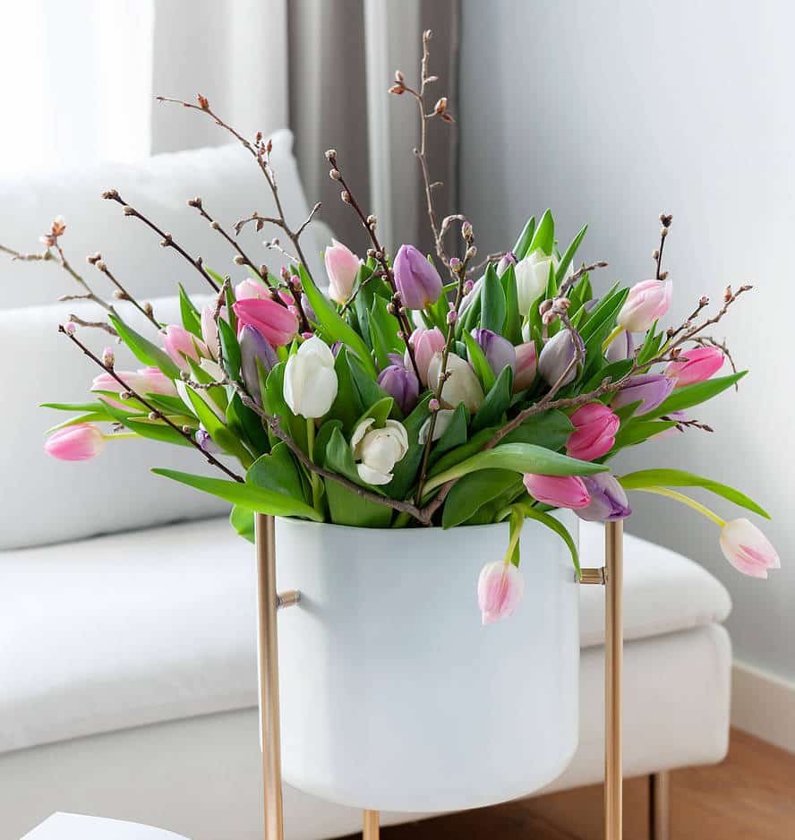 bouquet-tulipe Bouquet de tulipes en hiver