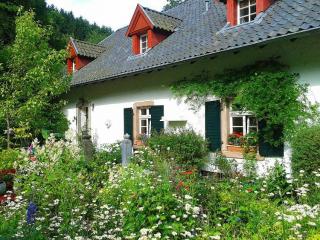 Amenager-grand-jardin-massif Amenager grand jardin massif