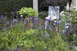 Mixed-border-ton-bleu-violet Mixed border ton bleu violet