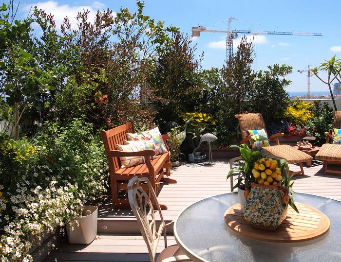 Plantes hautes brise-vue toit-terrasse