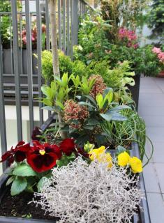 pots-et-jardiniere-deco-design pots et jardiniere deco design