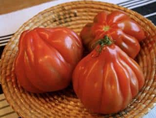 tomate-Coeur-de-Boeuf-en-cuisine tomate Coeur de Boeuf en cuisine