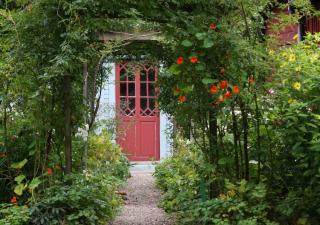 entreee-maison-avec-pergola-et-plantes-grimpantes entreee maison avec pergola et plantes grimpantes