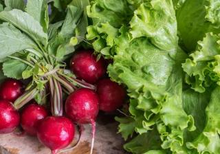 optimiser-espace-petit-potager optimiser espace petit potager