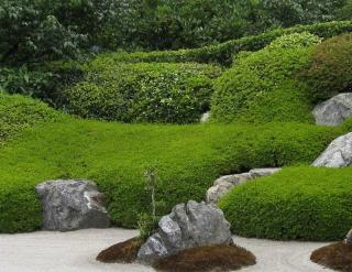 plantes-pour-bordure-parterre-deco plantes pour bordure parterre deco
