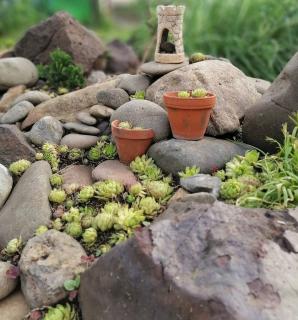 plantes-pour-rocaille-pente-butte-pierre plantes pour rocaille pente butte pierre