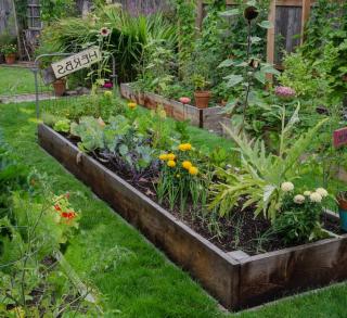 potager-jardin-en-longueur-idee potager jardin en longueur idee
