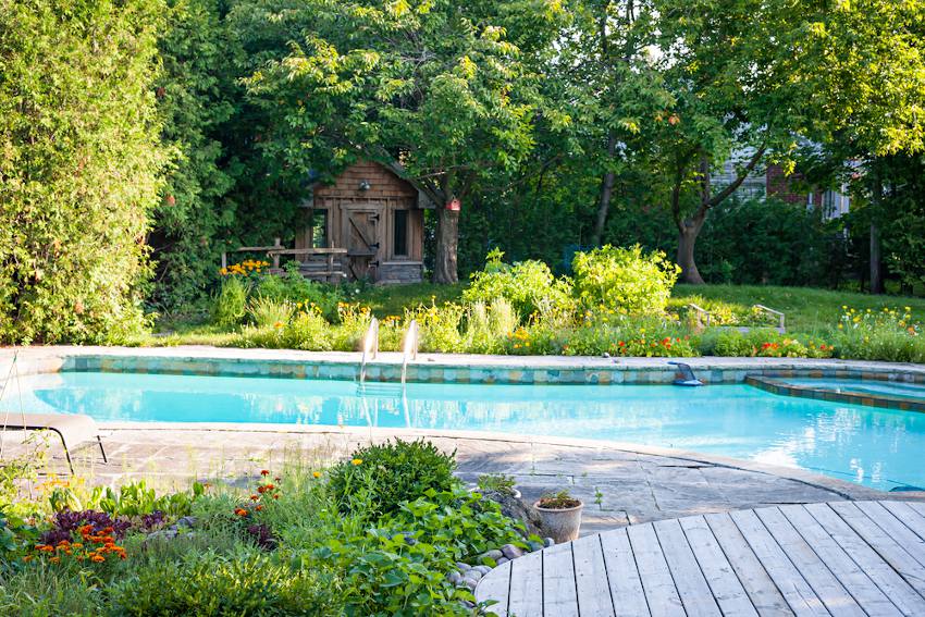 idee-plantation-fleur-piscine idee plantation fleur piscine