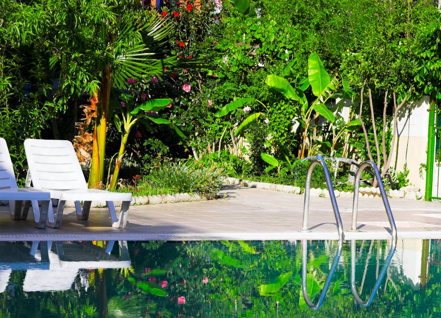 idee-plante-tropicale-piscine-ambiance idee plante tropicale piscine ambiance
