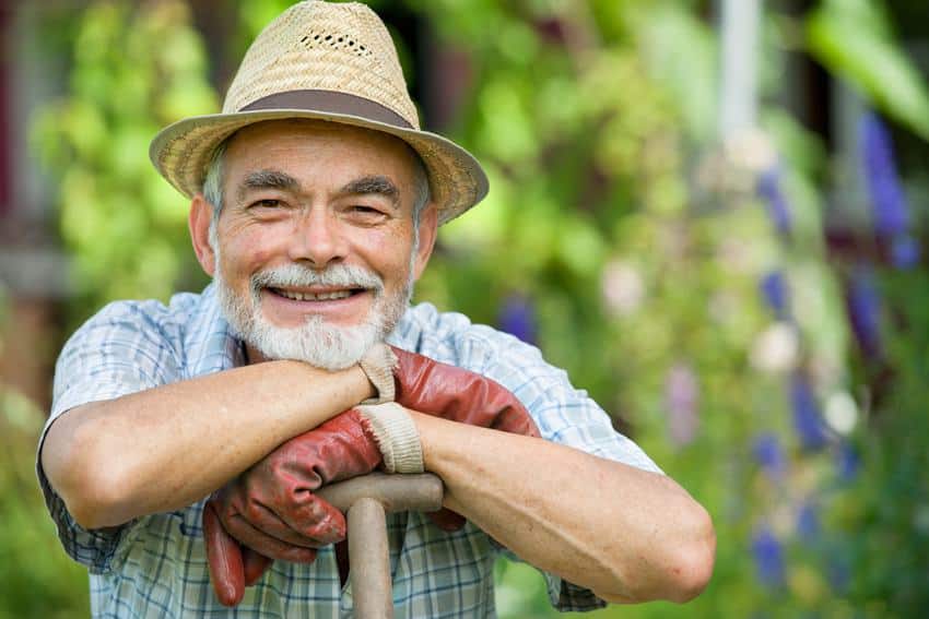 jardinage-ete - L'été au jardin, tous les conseils