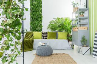 plantes-pour-jardin-hiver-interieur-serre plantes pour jardin hiver interieur serre
