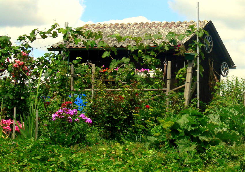 idee-deco-cabane-jardin idee deco cabane jardin
